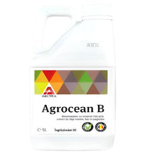 Încarcă imaginea în vizualizatorul Galerie, Agrocean B AECTRA – biostimulator cu extract de alge marine Laminaria digitata, bor și magneziu