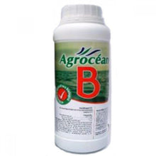 Încarcă imaginea în vizualizatorul Galerie, Agrocean B