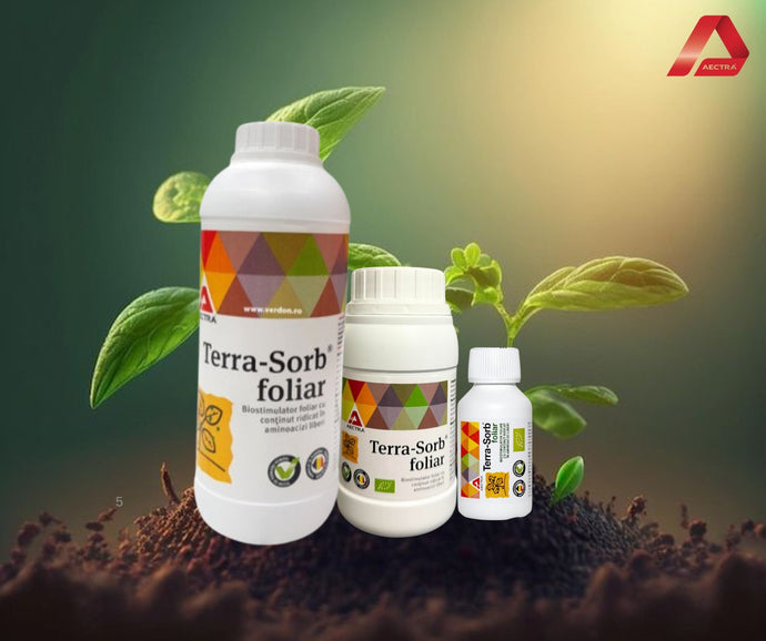Foliar pe raft