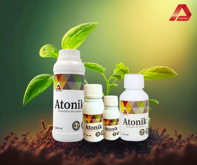 Atonik pe raft