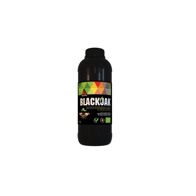 Blackjak