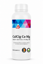 Încarcă imaginea în vizualizatorul Galerie, CalCig Ca-Mg 1l AECTRA – fertilizant foliar cu calciu, magneziu și azot pentru culturile agricole
