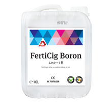 Încarcă imaginea în vizualizatorul Galerie, FertiCig Boron 10L AECTRA – fertilizant foliar cu bor chelatat pentru culturile agricole
