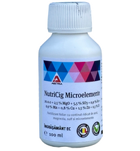 Încarcă imaginea în vizualizatorul Galerie, NutriCig Microelemente 100ml AECTRA – fertilizant foliar cu microelemente, azot, magneziu și sulf
