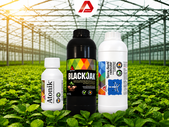 Terra-Sorb Radicular + BlackJak + Atonik pentru răsaduri | AECTRA ...